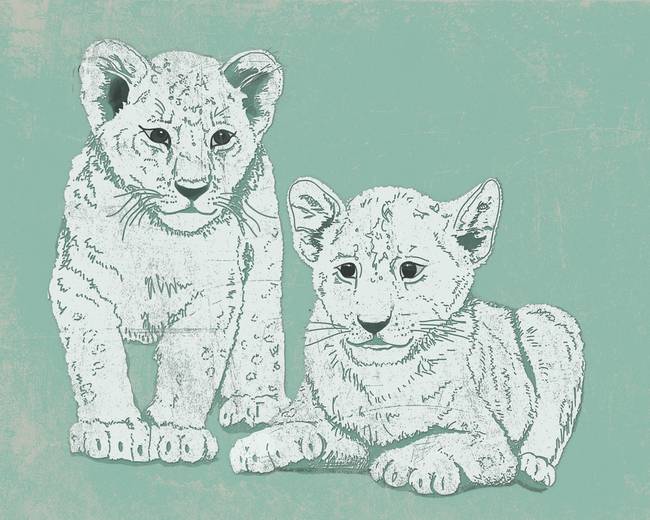 650x520 Stunning Baby Lion Cub Artwork For Sale On Fine Art Prints