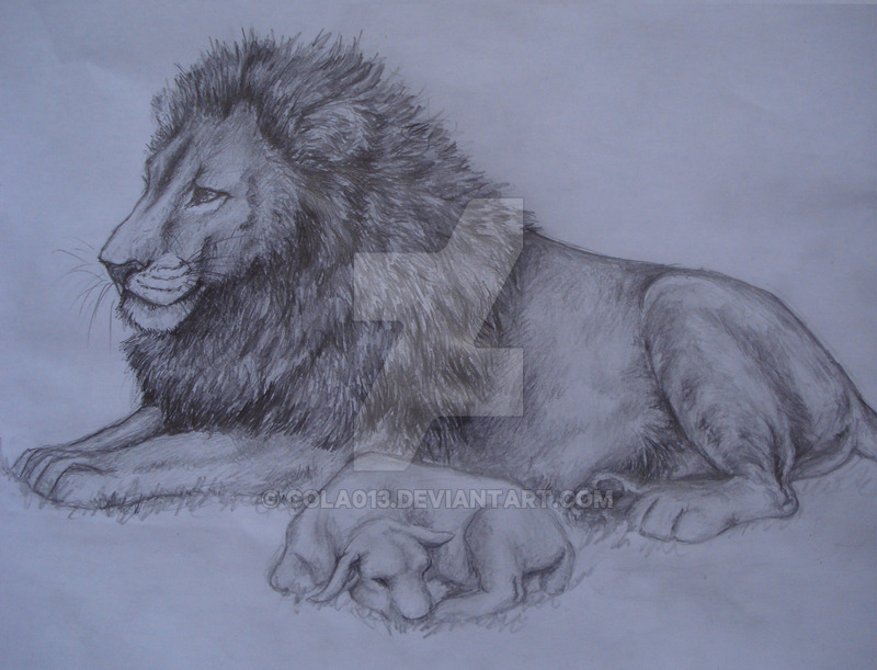 800x611 The Lion And The Lamb By Cola013