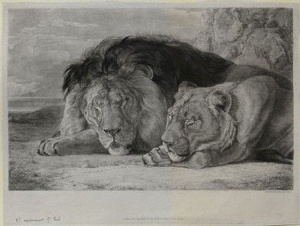 425x320 Lewis, John Frederick