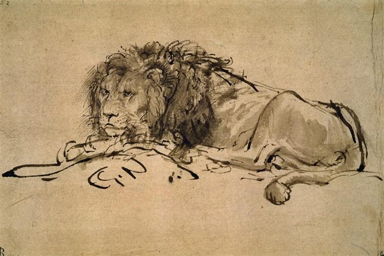 750x500 Lion Resting, 1650
