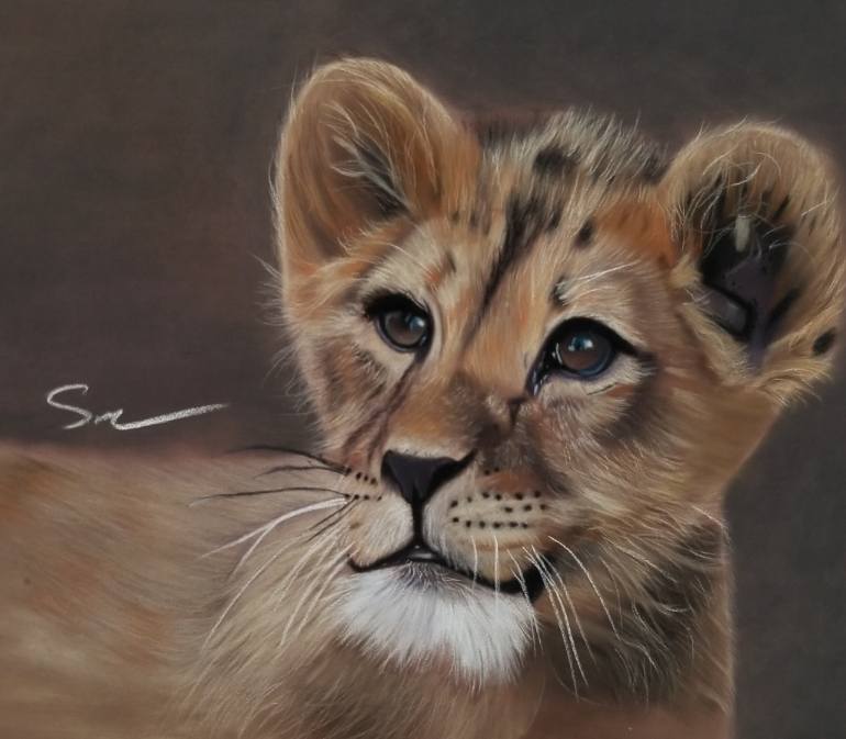 770x673 Saatchi Art Lion Cub Drawing By Antonio Snow