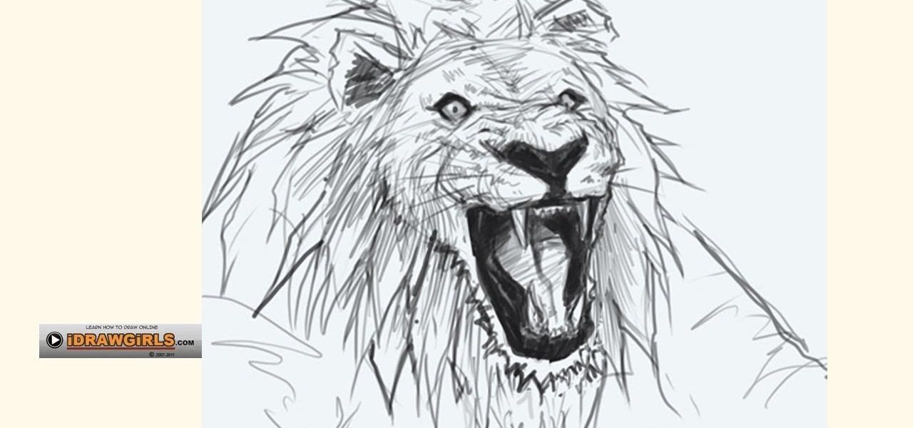 1280x600 How To Draw A Bemused Lion Head For Beginners Drawing