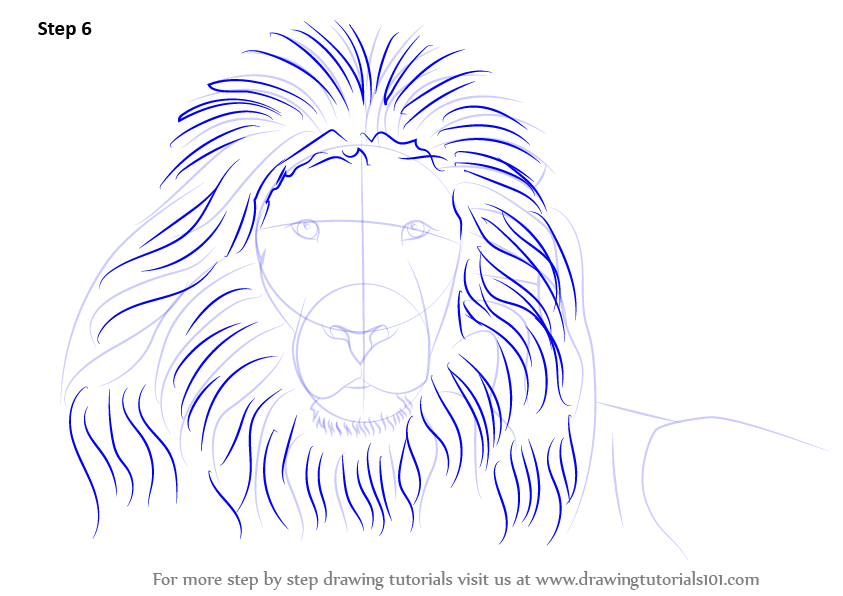 843x596 Learn How To Draw A Lion's Face (Big Cats) Step By Step Drawing
