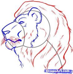 236x238 How To Draw A Lion Step By Step. Drawing Tutorials For Kids