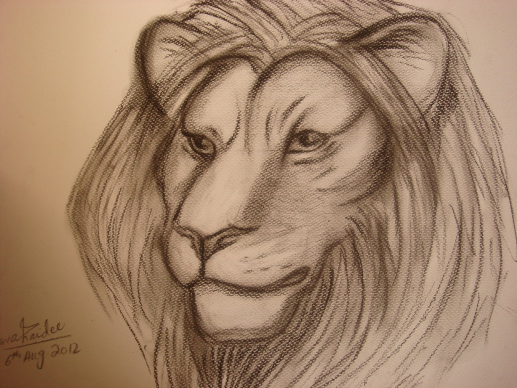 1032x774 Lion Face Drawing Lion Head By Lapiscrest Ears Back Roaring