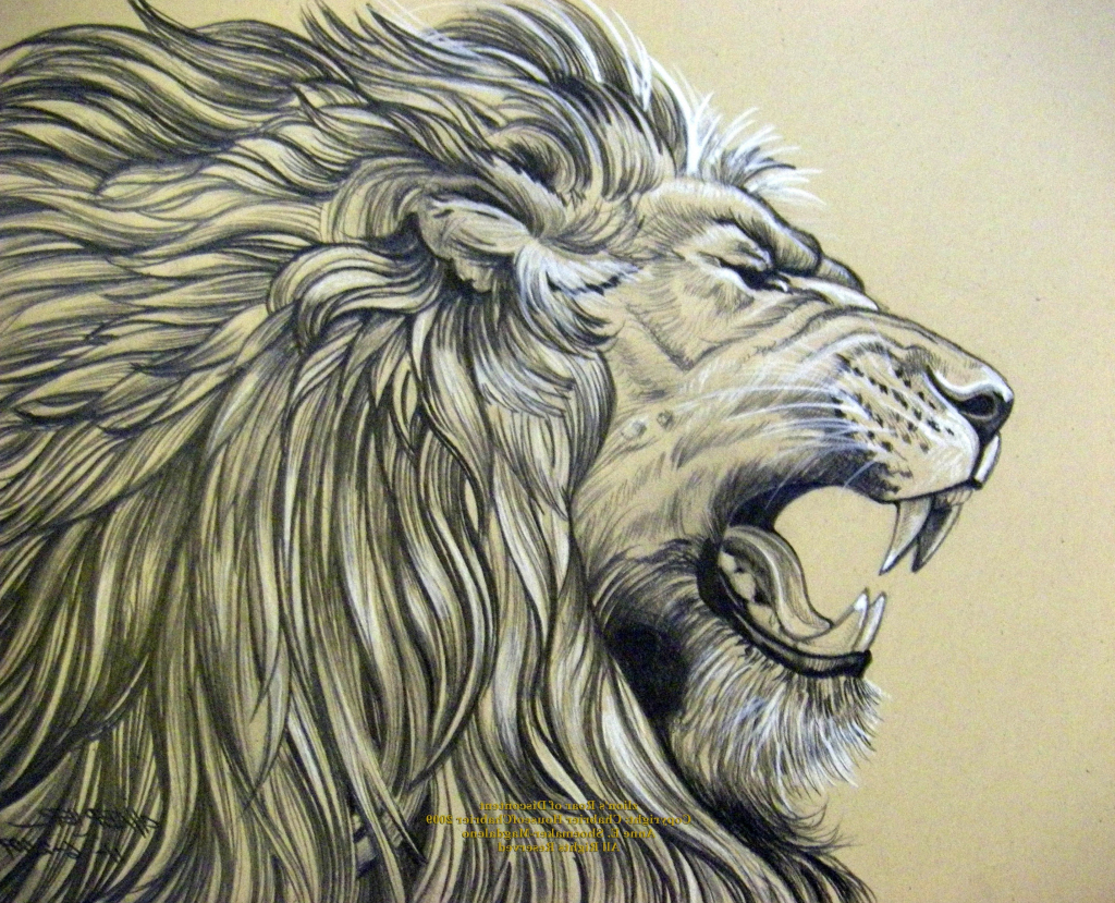 1024x829 Pencil Sketch Of Roaring Lion Realistic Lion Drawing Pencil