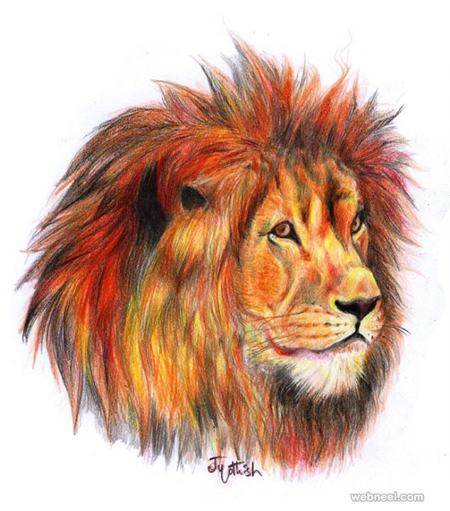 634x720 Color Pencil Drawing By Jyothish Kumar