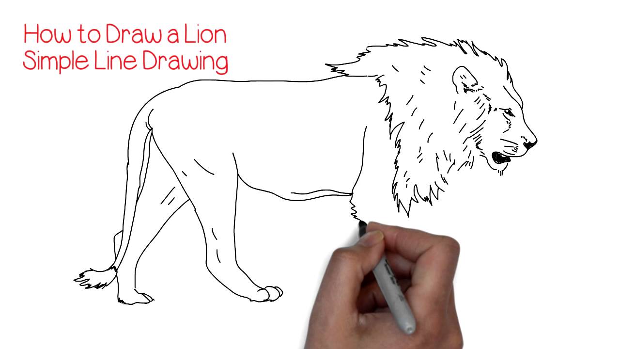 1280x720 How To Draw A Simple Lion Yzarts Yzarts