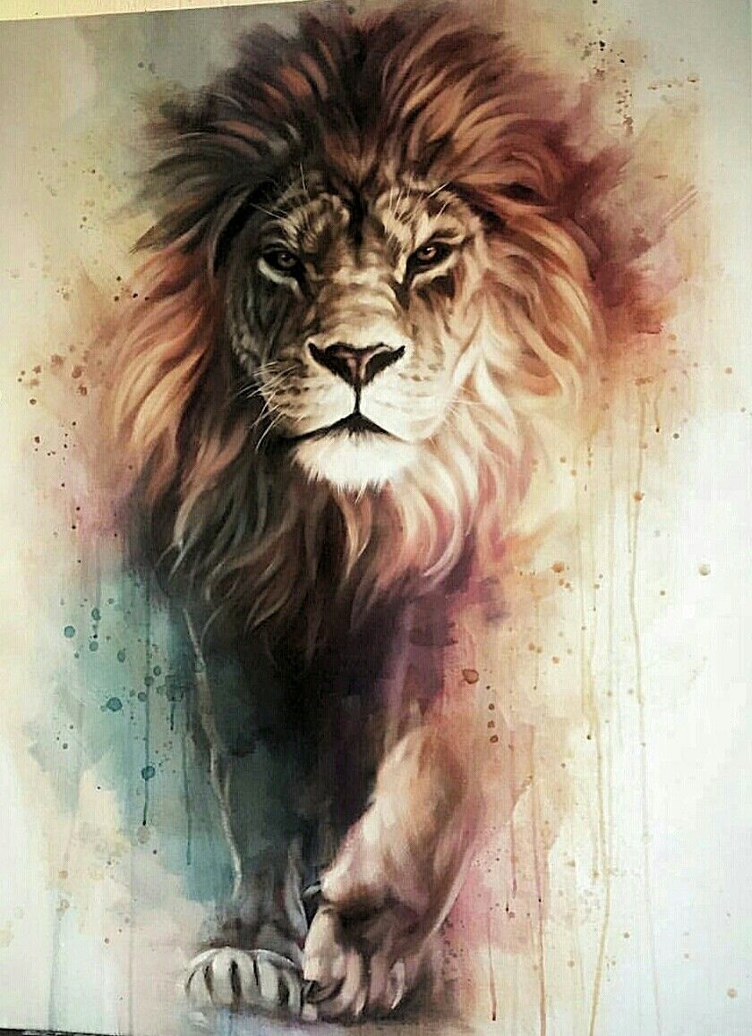 840x1158 Lion Art Aldelice Lion Art, Lions And Tattoo