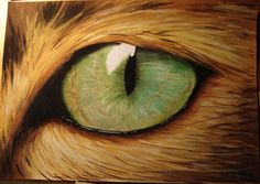 236x167 How To Draw Lion Eyes Lion King Lions, Eye