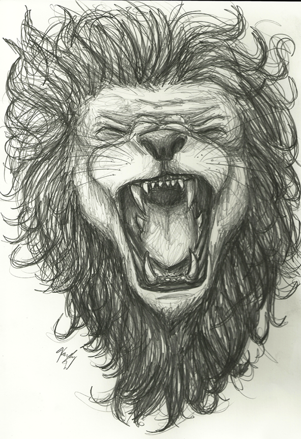 592x864 Commission Lion Sketch By Clockwork Conscience