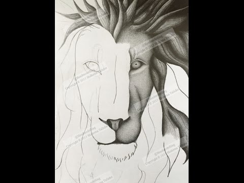 480x360 How To Draw A Lion's Face Step By Step By Shahema