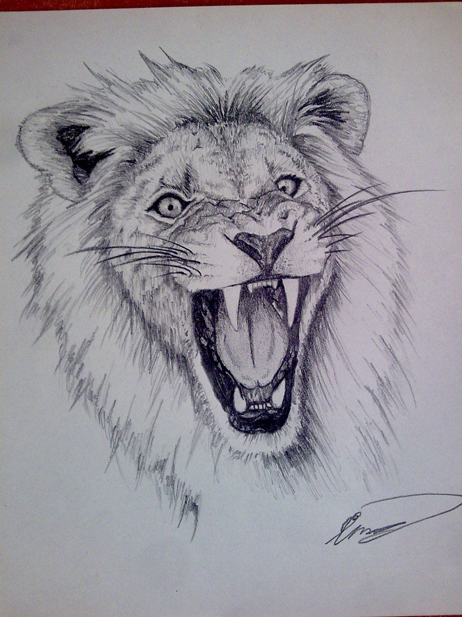 Lion Face Pencil Drawing at GetDrawings.com | Free for personal use