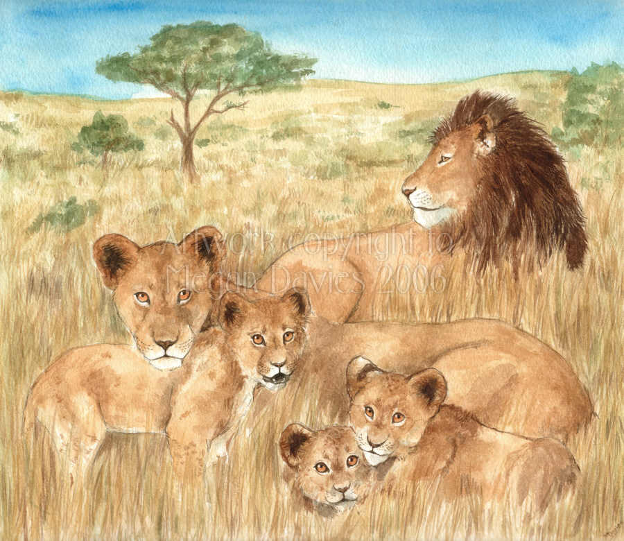900x780 Lionfamily Explore Lionfamily