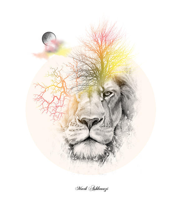 578x700 Lion Drawing By Mark Ashkenazi