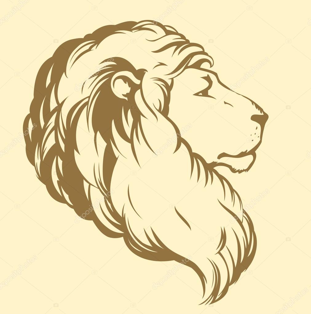 1012x1023 Lion. Vector Drawing Stock Vector Marinka