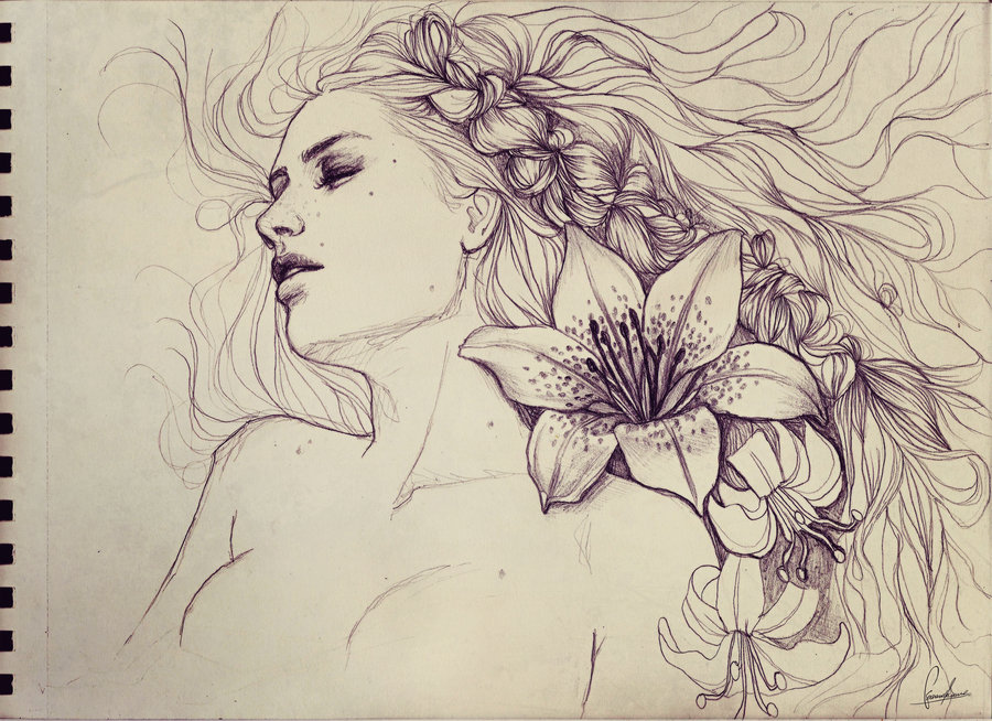 900x654 Lions Mane By Fdasuarez