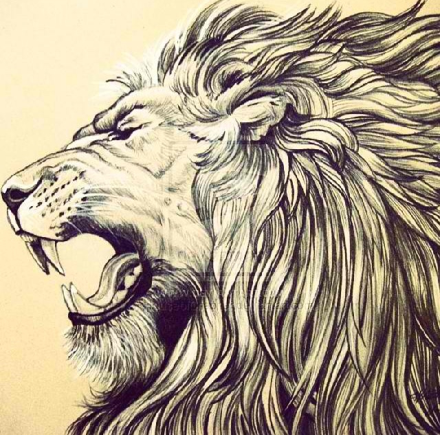 640x633 Lion Head Inspiration Lions, Tattoo And Tatoo