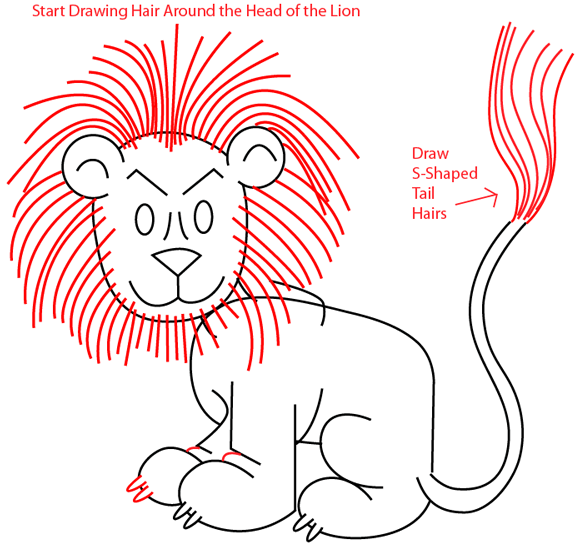 575x547 How To Draw A Cartoon Lion With Easy Step By Step Drawing Tutorial