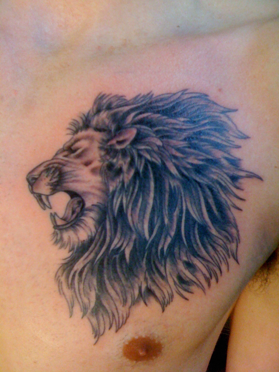 960x1280 64 Lion Tattoo Designs For Men And Women