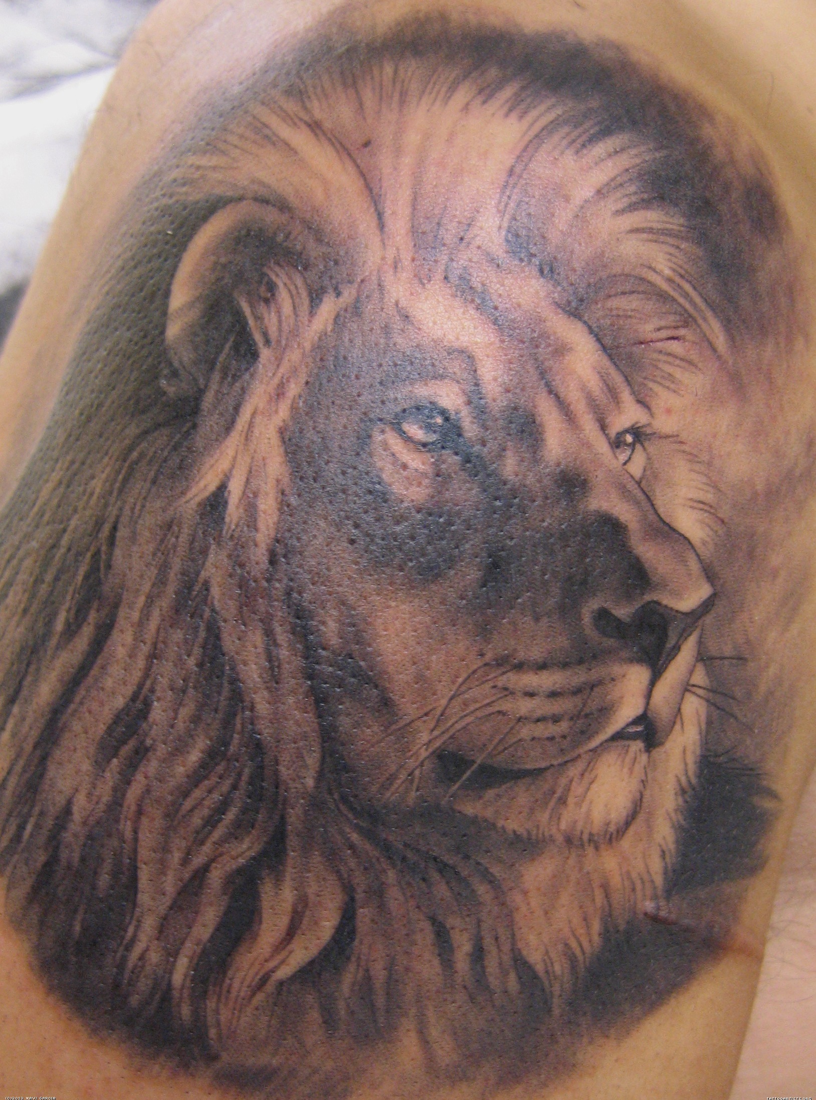 1628x2196 Lion Tattoo