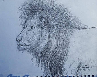 340x270 Lion Pencil Drawing Etsy