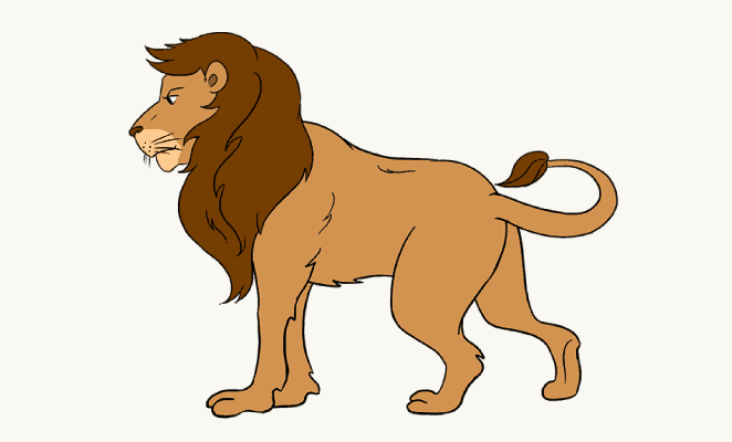 662x400 Photos Lion Draw How,