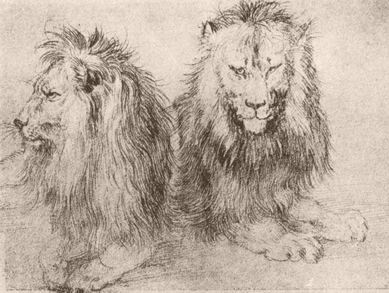 796x600 The Great Lions Of Drawing The Scribbles Institute