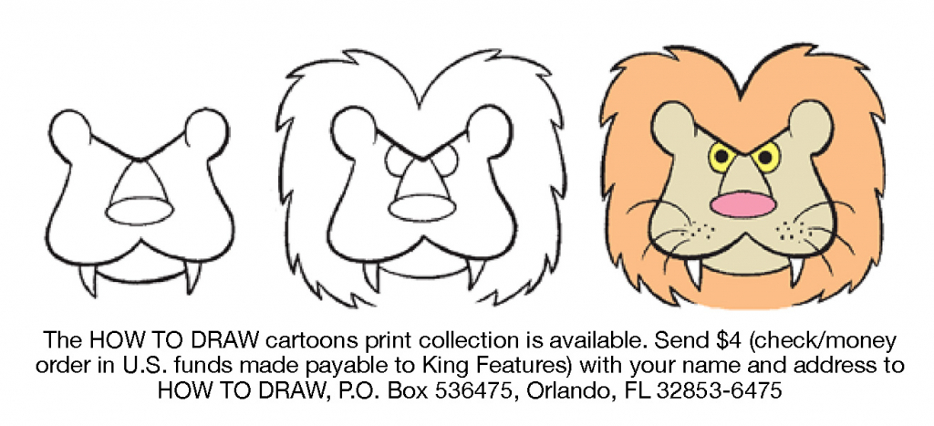 1024x467 How To Draw A Lion For Kids How To Draw A Lion Kid Cartoonists