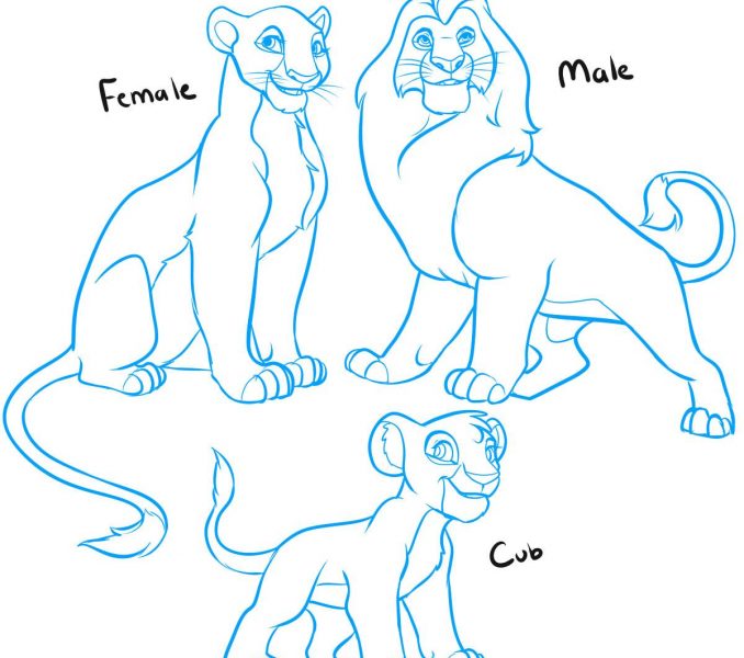 678x600 How To Draw The Lion King Characters Kids Coloring