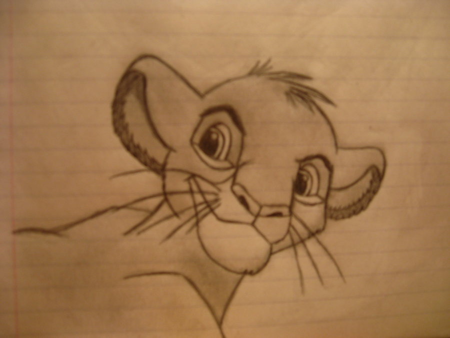 900x675 Simba From The Lion King By Lcr10dogs