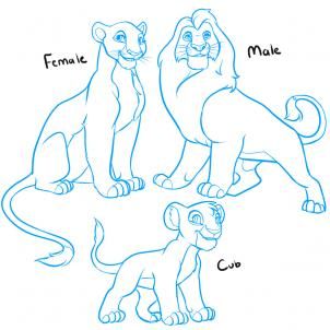 302x302 How To Draw A Lion King Lion, Lion King Lions Step 1 My Stuff