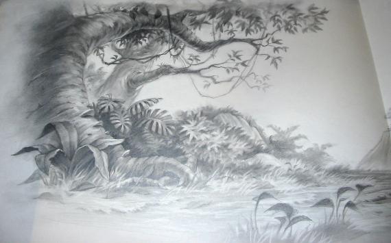 570x355 First Animation Art