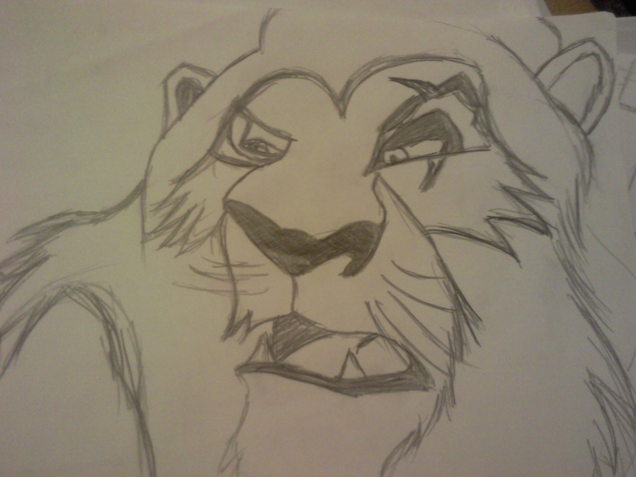 Lion King Pencil Drawing at GetDrawings | Free download