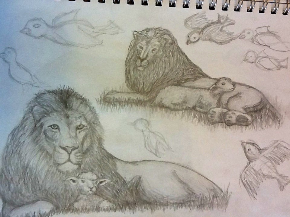 960x720 Lion And Lamb Sketches By Blcullers