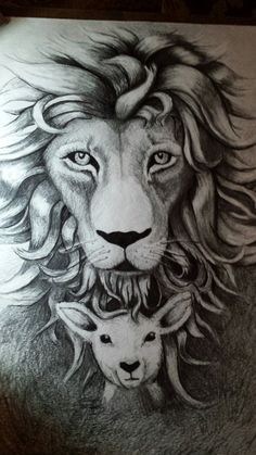 236x419 Pen And Ink Tattoo Design Of The Lion And Lamb. Bysandy Chapin