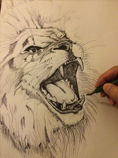 236x314 Lion Drawing A Step Inside My Mind Lion Drawing