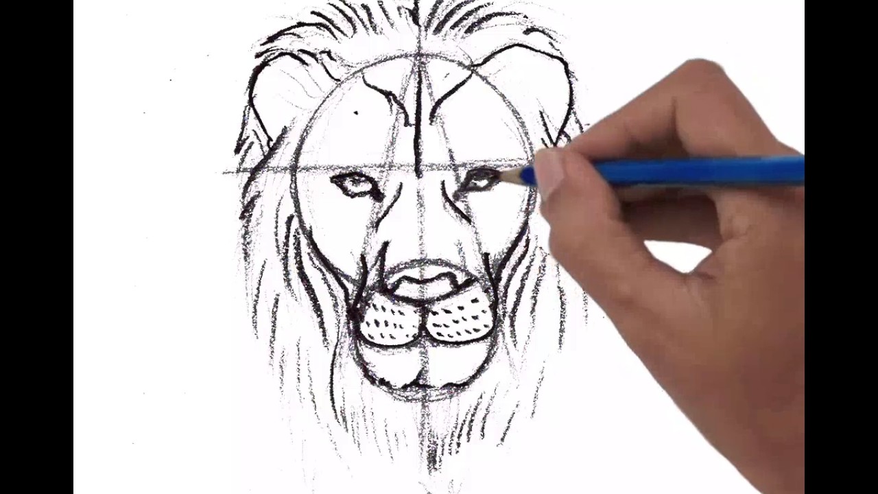 1280x720 Male Lion Head, Front View