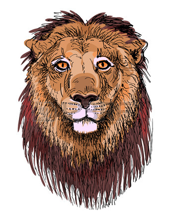 344x450 Unusual Original Artwork Of Iguana Lizard With Mouth Open