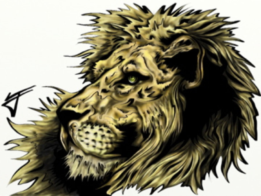 900x675 Ipad Drawing'Lion Of Judah'2011 Digita By Joshuacf