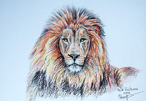 300x209 Lion's Portrait Wild Animal Watercolor Pencils Original Painting