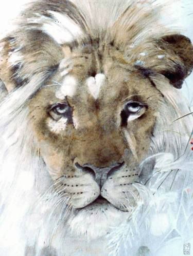 375x499 Lion Portrait Drawing By Werner Zganiacz Lions, Saatchi Art