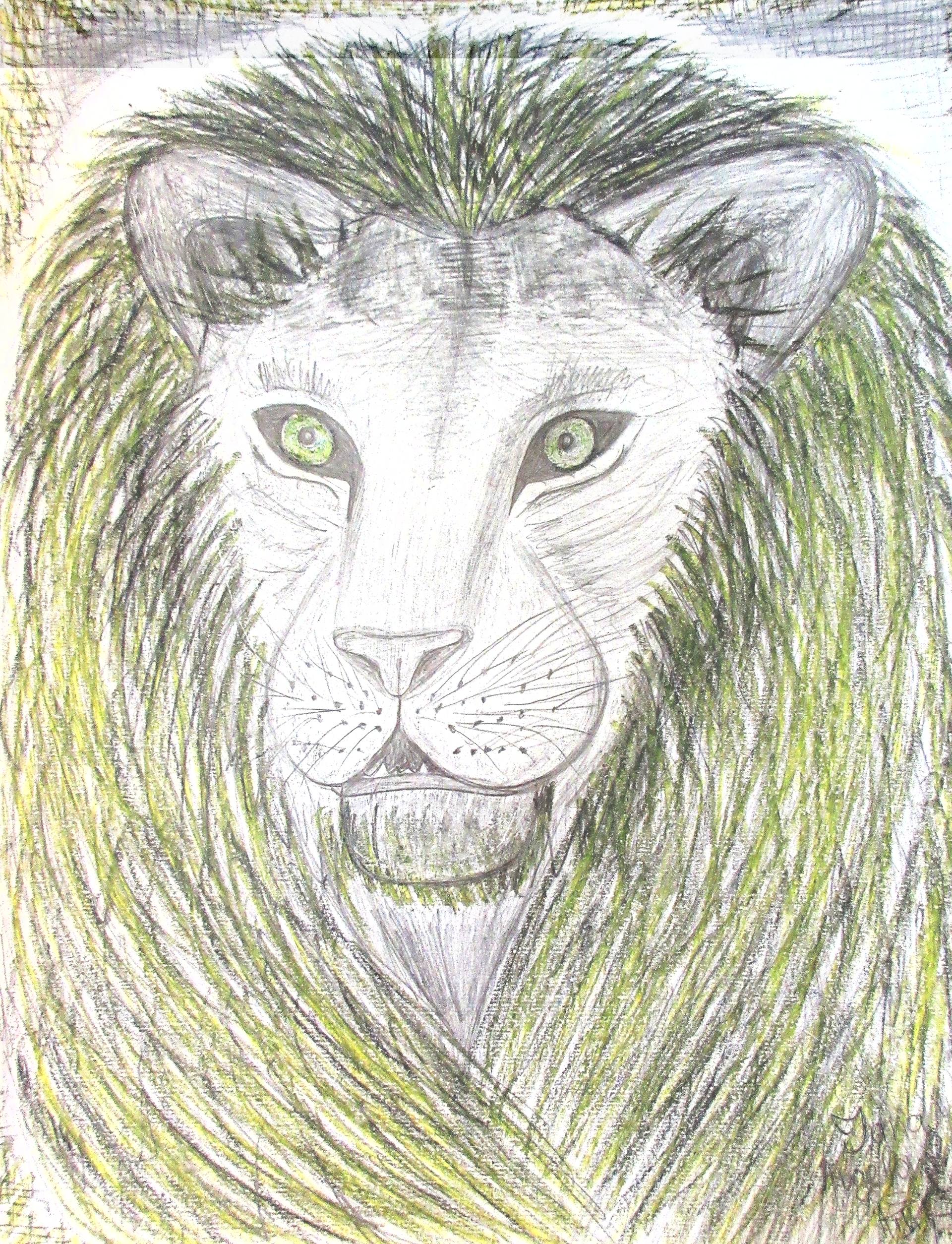 1920x2508 Saatchirt Lion Portrait Drawing By Jana