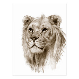 260x260 Lion Pride Gifts On Zazzle