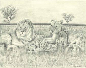 340x270 Lion Pride Etsy