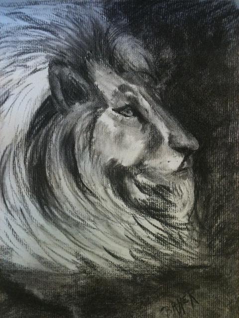 480x640 Lion's Head Profile Drawing By Joseph Baker