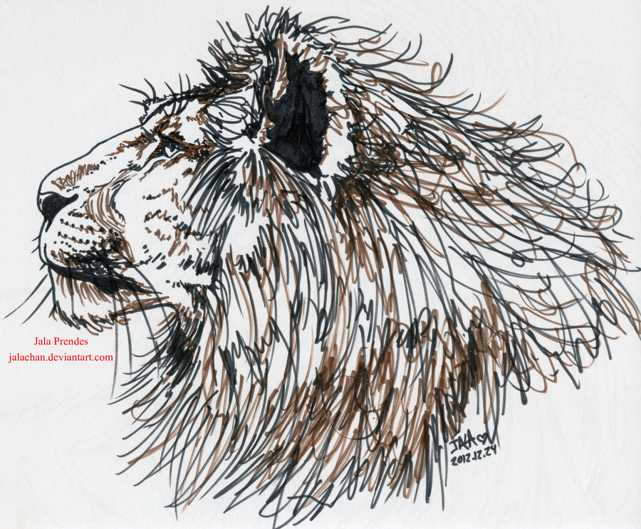 900x743 Lion Profile (Cafe Sketch) By Jalachan Reference
