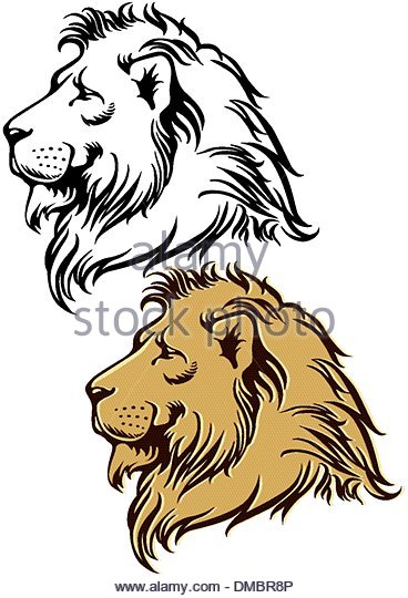 368x540 Lion Stock Vector Images