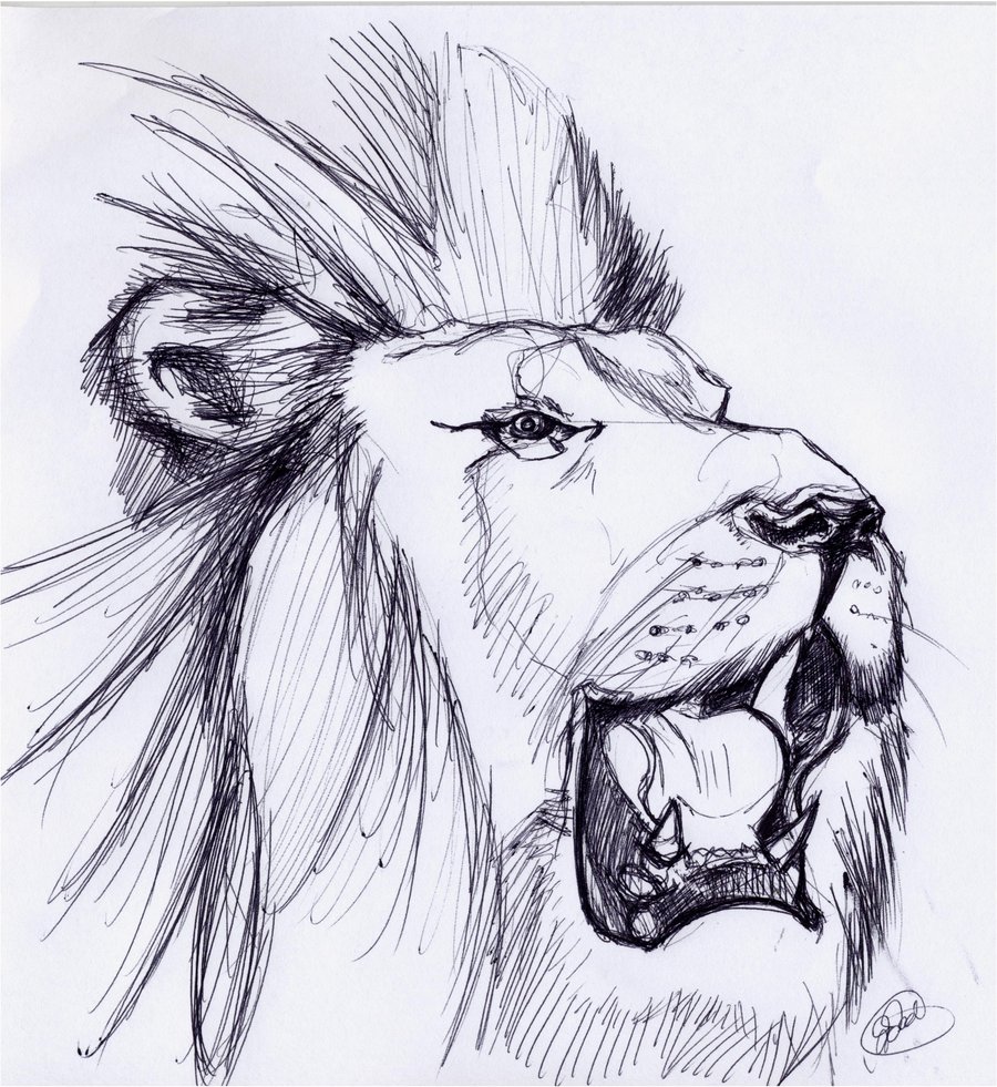 lion roaring outline