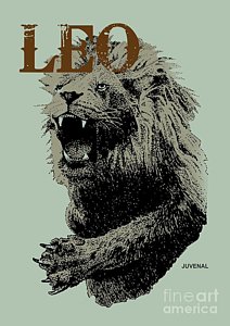 212x300 Lion Roar Drawings